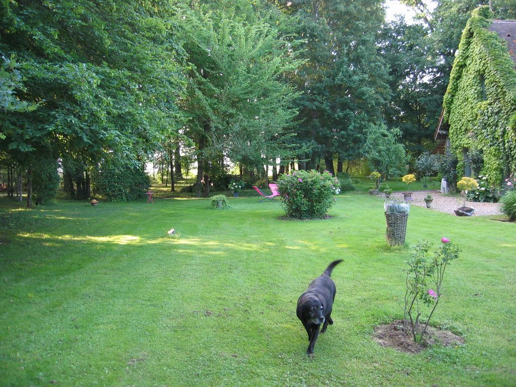 Bed and Breakfast Logis De La Paqueraie Saint-Branchs Esterno foto