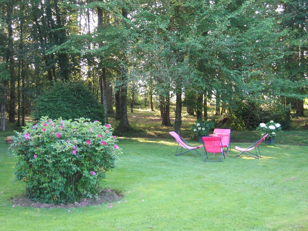 Bed and Breakfast Logis De La Paqueraie Saint-Branchs Esterno foto